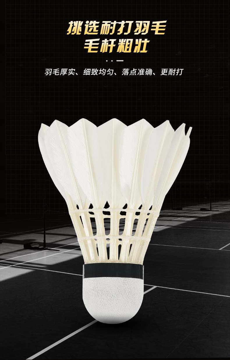 New 12PCS Professional Badmint - Badminton Event 评论和价格
