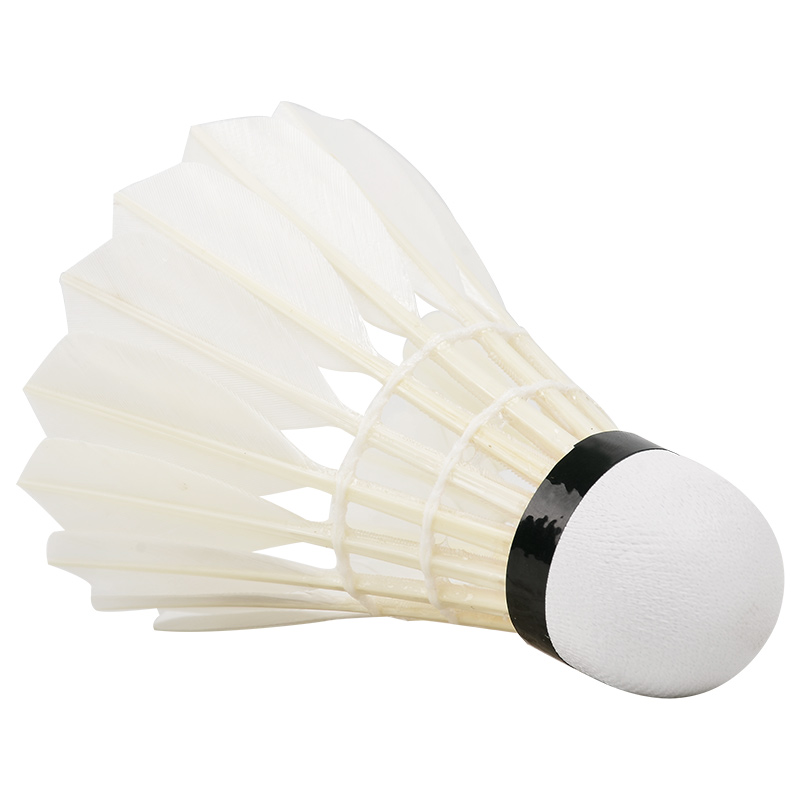 New 12PCS Professional Badmint - Badminton Event 评论和价格