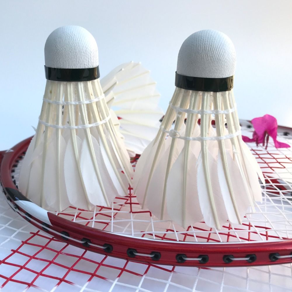 3/6/12Pcs New White Badminton  - Badminton Event 评论和价格